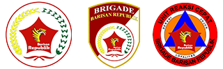 Footer Logo
